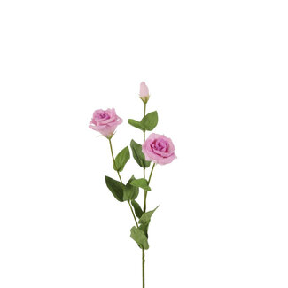 4A Lisianthus Fleur Artificielle Real Touch | Couleur : Rose | Longueur ± 73 centimètres | Par 6 fleurs artificielles
