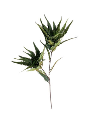 4A Branche de Fougère Artificielle | Couleur : Vert Foncé | Longueur ± 95 centimètres | Par 6 branches