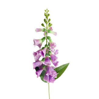 4A Vingerhoedskruid Kunstbloem | Kleur: Paars | Digitalis Purpurea kunstbloemen | Lengte ± 78 centimeter | Per 6 kunstbloemen