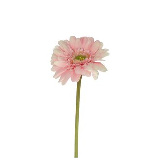 4A Gerbera Artificial Flower | Colour: Light Pink | Length ± 55 centimetres | Per 12 artificial flowers