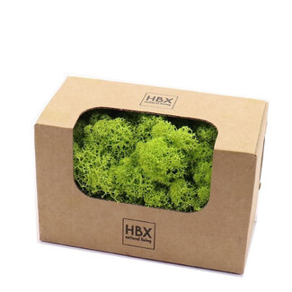 4A Gepreserveerd Rendiermos | Kleur: Lichtgroen | Droogdecoratie | Gewicht 50 gram | Per doosje