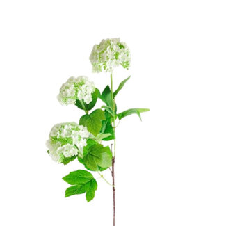 4A Boule de Neige Fleur Artificielle | Couleur : Blanc Naturel | Longueur ± 70 centimètres | Par 6 fleurs artificielles