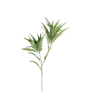 4A Fern Branch Artificial Green | Colour: Green | Length ± 95 centimetres | Per 6 branches