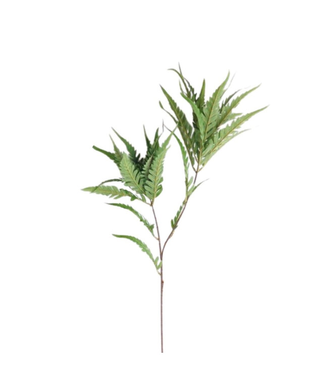 Fern Branch Artificial Green | Colour: Green | Length ± 95 centimetres | Per 6 branches