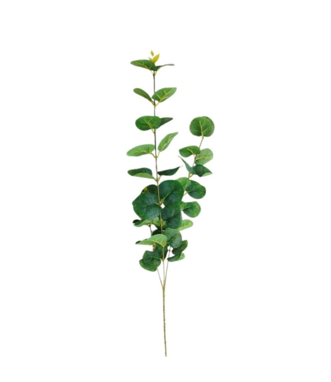 Eucalyptus Branche Artificielle | Couleur : Vert | Longueur ± 90 centimètres | Par 10 branches