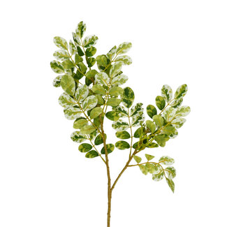 4A Ficus Artificial Green Branch | Colour: Green | Length ± 70 centimetres | Per 10 branches