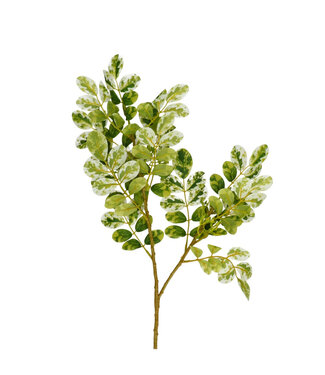 4A Ficus Tak Artificiel | Couleur : Vert | Longueur ± 70 centimètres | Par 10 branches