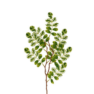 4A Ficus Artificial Greenery | Colour: Green White | Length ± 65 centimetres | Per 10 branches