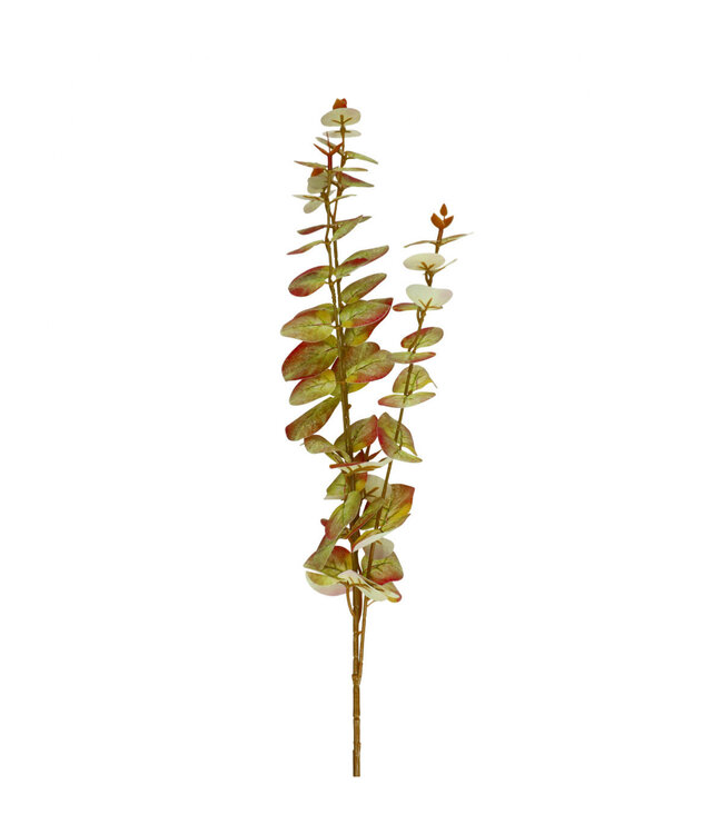 Eucalyptus Branche Artificielle | Couleur : Vert Clair | Longueur ± 80 centimètres | Par 10 branches