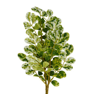 4A Ficus Artificial Greenery | Colour: Green White | Length ± 70 centimetres | Per 10 branches