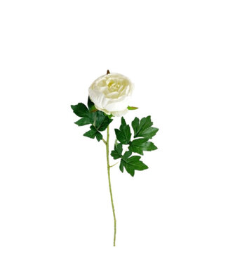 4A Pfingstrose Kunstblume | Farbe: Cremefarben | Länge ± 65 Zentimeter | Pro 10 Kunstblumen