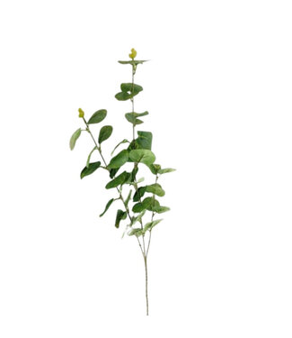 4A Eukalyptus Kunstblume | Farbe: Hellgrün | Länge ± 90 Zentimeter | Pro 10 Zweige