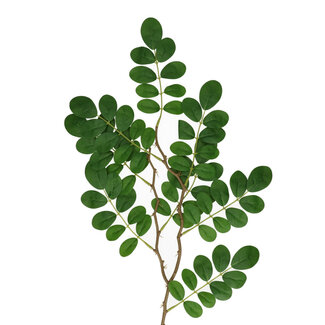 4A Ficus Tak Kunstgroen | Kleur: Groen | Lengte ± 65 centimeter | Per 10 takken