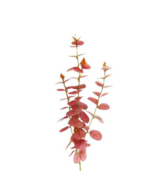 4A Eucalyptus Branche Artificielle | Couleur : Bordeaux | Longueur ± 80 centimètres | Par 10 branches