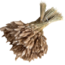 Naturelle Lagurus Ovatus droogbloemen | Lengte ± 70 centimeter | Gewicht ± 100 gram