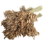 Naturelle Lagurus Ovatus droogbloemen | Lengte ± 70 centimeter | Gewicht ± 100 gram