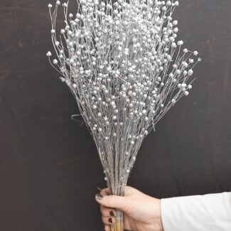 Dutch Dried Silver-Coloured Linum - Flax Dried Flowers | Length ± 55 centimetres | Weight ± 150 grams