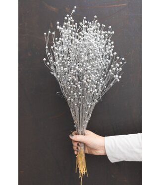 Dutch Dried Silver-Coloured Linum - Flax Dried Flowers | Length ± 55 centimetres | Weight ± 150 grams