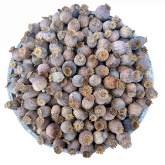 POPPY POWER Dried Poppy Heads | Size M | Harvest 2025 | Per Kilo