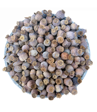 POPPY POWER Dried Poppy Heads | Size M | Harvest 2025 | Per Kilo