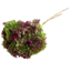 Naturelle Hydrangea Cabeza | Gepreserveerde Hortensia | Gewicht ± 50 gram | Per 3 stelen