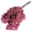 Soft Pink Schinus - Pepper Berries Dried Decoration | Length ± 35 centimetres | Weight ± 150 grams