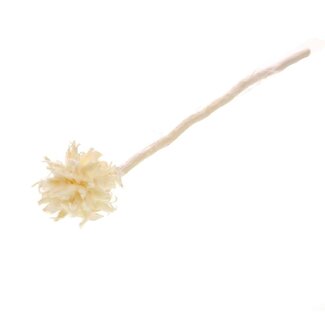 Dutch Dried Branches de Plumosum blanchies | Longueur ± 60 centimètres | Par 8 branches