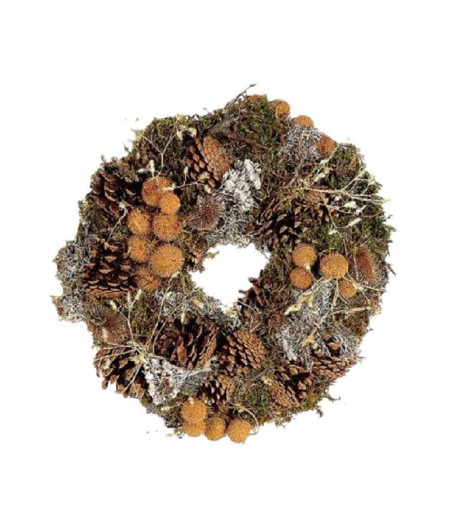 Couronne Parana | Couleur : Marron | Diamètre 35 centimètres | Par couronne