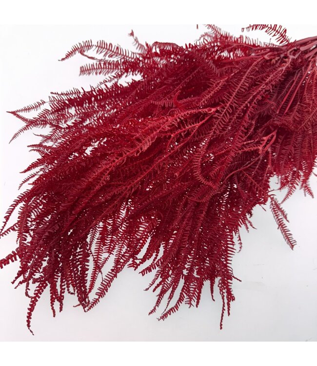 Red bleached and preserved Fern | Length ± 60 centimetres | Weight ± 100 grams