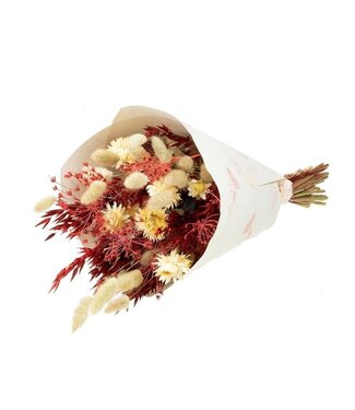 MyFlowers Trockenblumenstrauß Moulin Rouge | Länge ± 50 Zentimeter | Gemischte Farben Trockenblumen