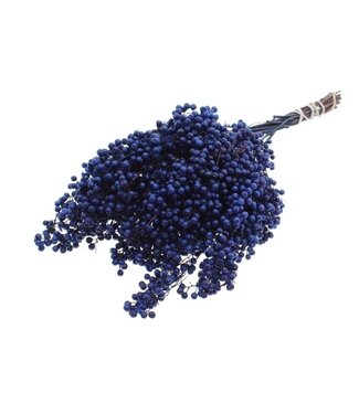 Dutch Dried Dunkelblauer Schinus - Pfefferbeeren Trockenblumen | Länge ± 35 Zentimeter | Gewicht ± 150 Gramm