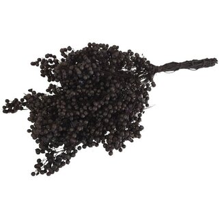 Dutch Dried Zwarte Schinus - Peperbessen droogdecoratie | Lengte ± 35 centimeter | Gewicht ± 150 gram