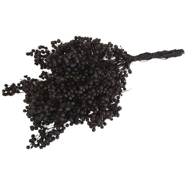 Schwarzer Schinus - Pfefferbeeren Trockenblumendekoration | Länge ± 35 Zentimeter | Gewicht ± 150 Gramm