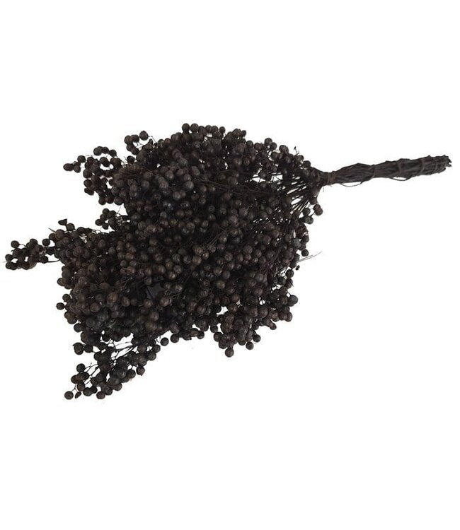Black Schinus - Pepper Berries Dry Decoration | Length ± 35 centimetres | Weight ± 150 grams
