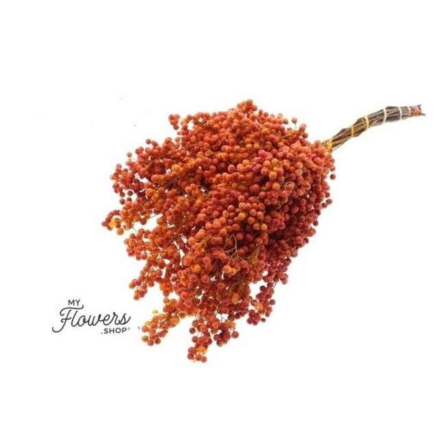 Terrakotta Schinus - Pfefferbeeren Trockenblumendekoration | Länge ± 35 Zentimeter | Gewicht ± 150 Gramm