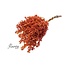 Terracotta Schinus - Pepper Berries Dried Decoration | Length ± 35 centimetres | Weight ± 150 grams