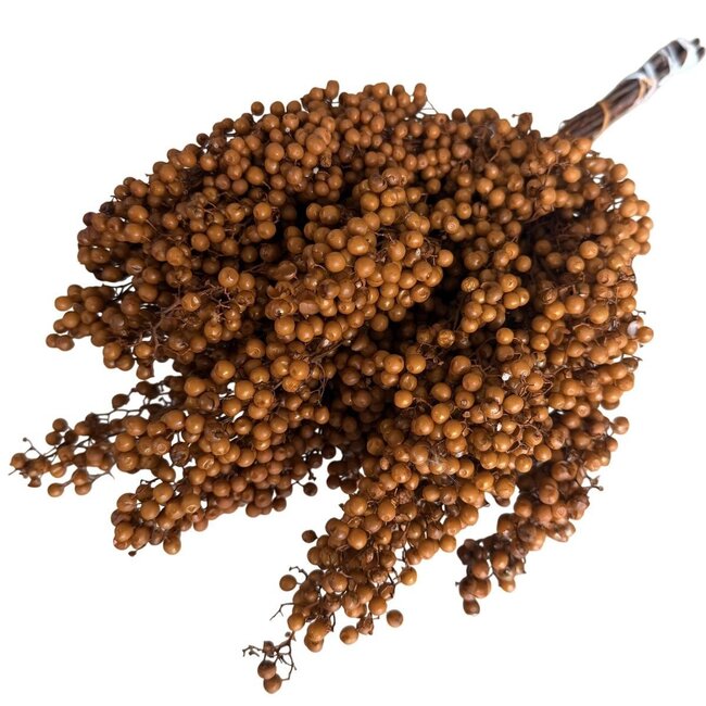 Terrakotta Schinus - Pfefferbeeren Trockenblumendekoration | Länge ± 35 Zentimeter | Gewicht ± 150 Gramm