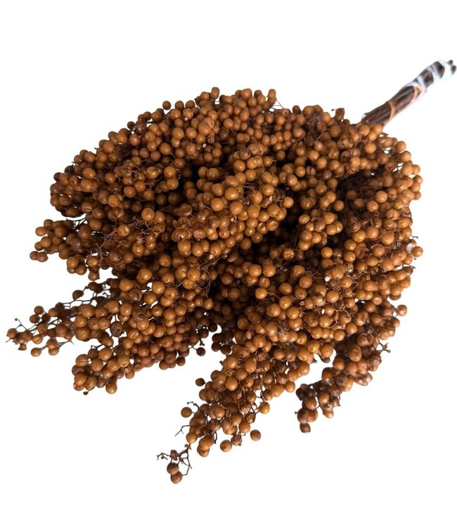 Terracotta Schinus - Décoration sèche de baies de poivre | Longueur ± 35 centimètres | Poids ± 150 grammes