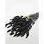 Bruin-zwarte Lagurus droogbloemen | Lengte ± 65 centimeter | Gewicht ± 100 gram