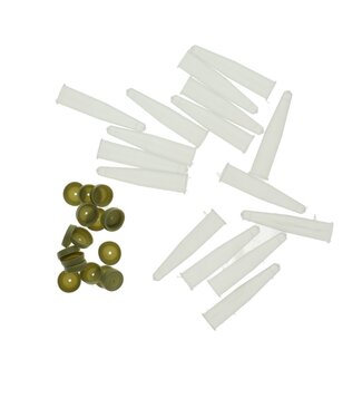 4A Blumengeschäft Anthuriumfläschchen mit Verschluss | Farbe: Transparent | Durchmesser 2 Zentimeter | Länge 8 Zentimeter | Inhalt 1,0 Kubikzentimeter | Pro 100 Fläschchen