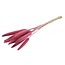 Roze Babala droogbloemen | Lengte ± 70 centimeter | Per 10 takken