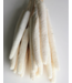 White bleached Babala dried flowers | Length ± 65 centimetres | Per 15 stems
