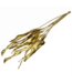Golden Strelitzia dried flowers | Length ± 65 centimetres | Per 10 stems