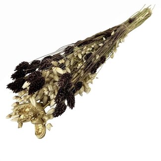 Dutch Dried Trockenblumenstrauß Smart Mabel | Länge ± 50 Zentimeter | Mit braunen und goldfarbenen Trockenblumen