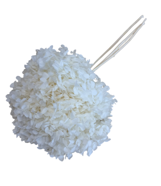 Casa Alegria White Bleached Hydrangea Cabeza | Preserved Hydrangea | Weight ± 50 grams | Per 3 stems