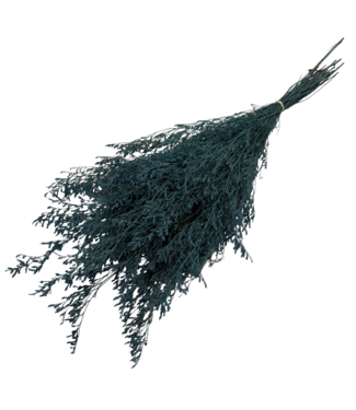 Casa Alegria Blue Caspia preserved flowers | Length ± 65 centimetres | Weight ± 100 grams