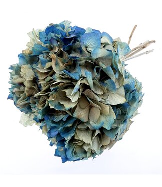 Casa Alegria Hortensia bleue | Hortensia préservée | Longueur ± 30 centimètres | Poids ± 50 grammes
