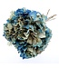 Hortensia Bleue | Hortensia Préservée | Longueur ± 30 centimètres | Poids ± 50 grammes