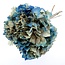 Bordeaux-rode Gypsophila | Gedroogd Gipskruid | Lengte ± 65 centimeter | Per 5 takken