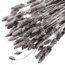 Metalic Silver Phalaris droogbloemen | Lengte ± 65 centimeter | Gewicht ± 150 gram